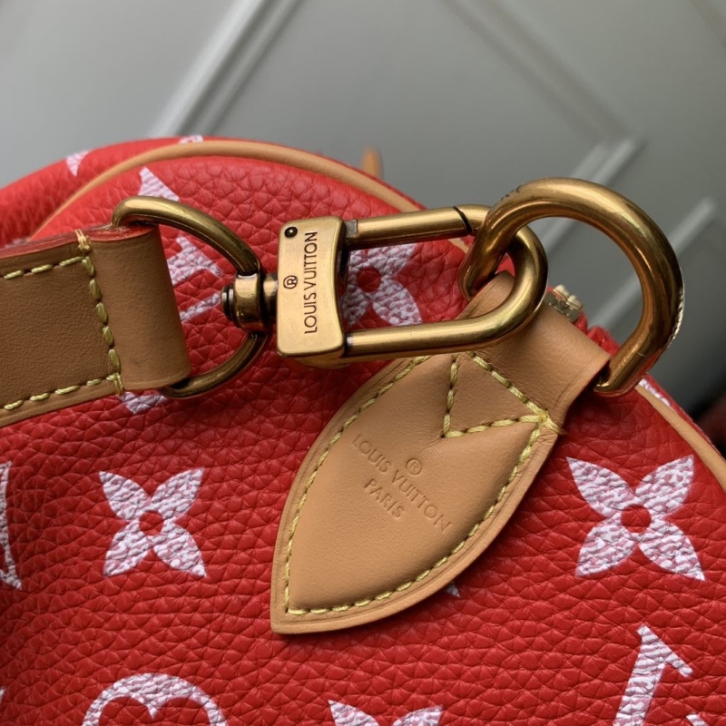 LV Speedy Bags